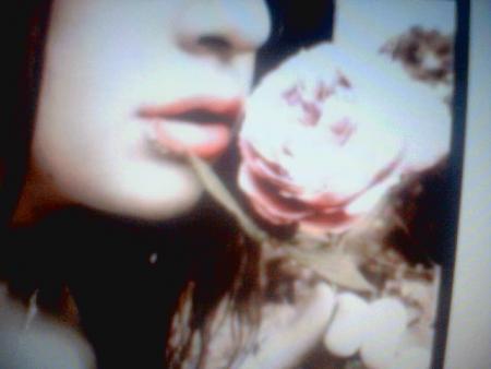 amour